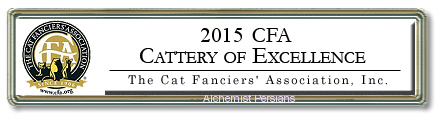 CFA Cattery of Excellence Banner