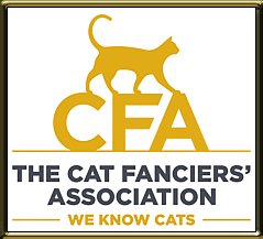 CFA website