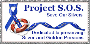 Save Our Silver Persians