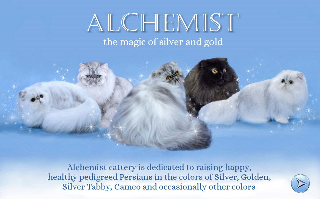 This image was stolen from www.alchemistpersians.com